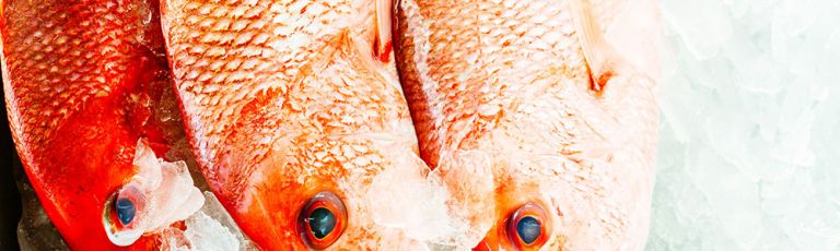 Diamond Reef Seafood - Our Story